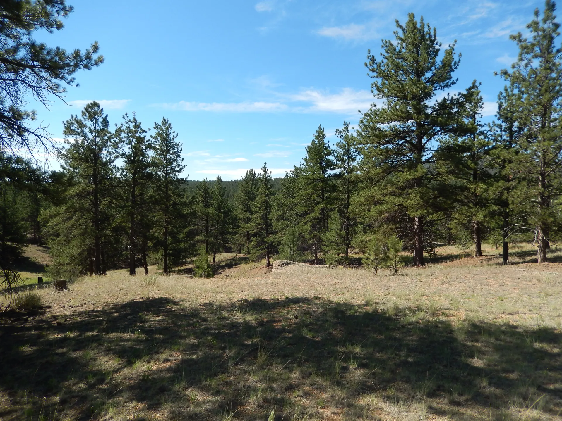 Open Field Escape – Private, Spacious & Secure - Image 3