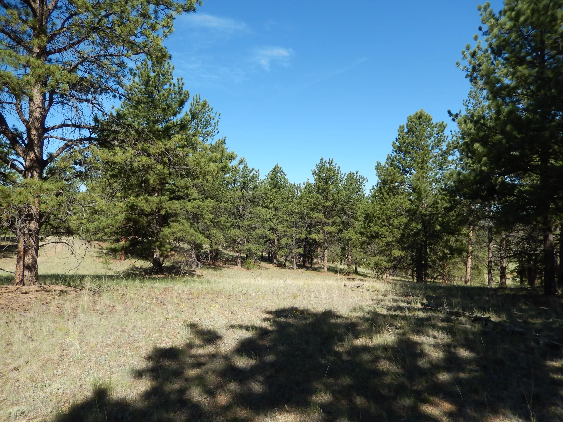 Open Field Escape – Private, Spacious & Secure - Image 2